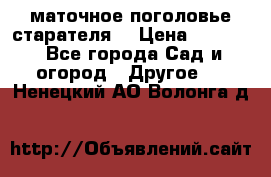 маточное поголовье старателя  › Цена ­ 3 700 - Все города Сад и огород » Другое   . Ненецкий АО,Волонга д.